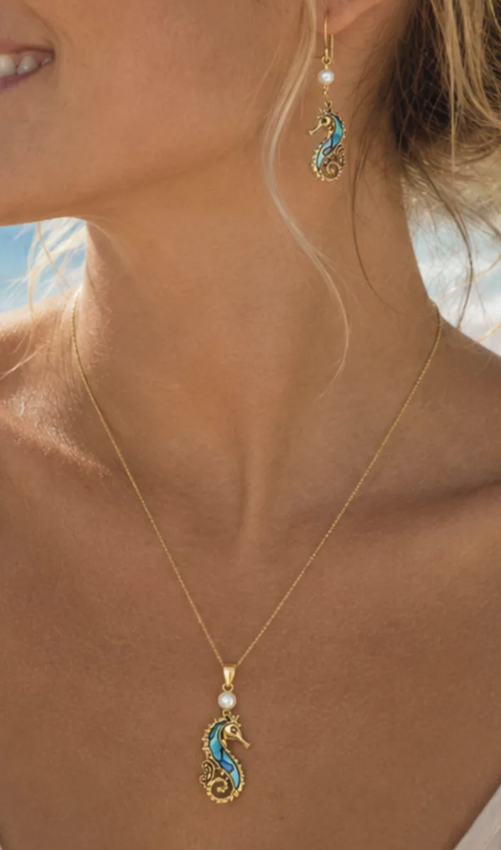 Seahorse worn