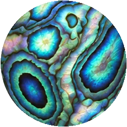 paua shell inlay